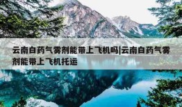 云南白药气雾剂能带上飞机吗|云南白药气雾剂能带上飞机托运