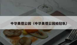 中华美德公园（中华美德公园拍轻轨）