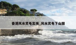 香港风水灵龟出海_风水灵龟下山图