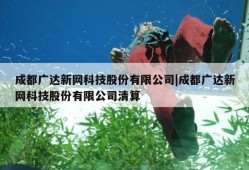 成都广达新网科技股份有限公司|成都广达新网科技股份有限公司清算