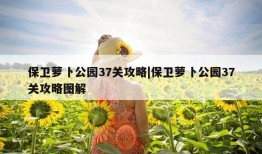 保卫萝卜公园37关攻略|保卫萝卜公园37关攻略图解