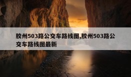 胶州503路公交车路线图,胶州503路公交车路线图最新