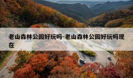 老山森林公园好玩吗-老山森林公园好玩吗现在