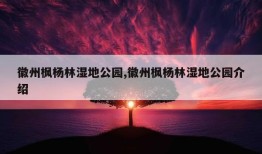 徽州枫杨林湿地公园,徽州枫杨林湿地公园介绍