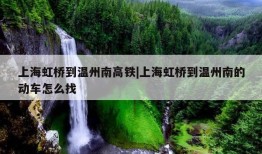 上海虹桥到温州南高铁|上海虹桥到温州南的动车怎么找