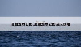 滨湖湿地公园,滨湖湿地公园游玩攻略