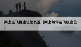 网上选飞机座位怎么选（网上如何选飞机座位）