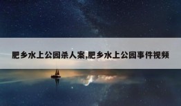 肥乡水上公园杀人案,肥乡水上公园事件视频