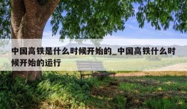 中国高铁是什么时候开始的_中国高铁什么时候开始的运行