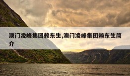 澳门凌峰集团赖东生,澳门凌峰集团赖东生简介