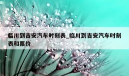 临川到吉安汽车时刻表_临川到吉安汽车时刻表和票价