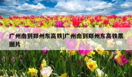 广州南到郑州东高铁|广州南到郑州东高铁票图片