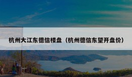 杭州大江东德信楼盘（杭州德信东望开盘价）