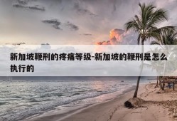 新加坡鞭刑的疼痛等级-新加坡的鞭刑是怎么执行的