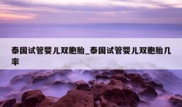 泰国试管婴儿双胞胎_泰国试管婴儿双胞胎几率