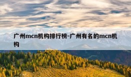 广州mcn机构排行榜-广州有名的mcn机构