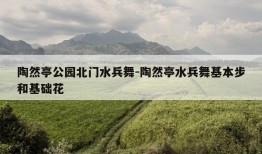 陶然亭公园北门水兵舞-陶然亭水兵舞基本步和基础花