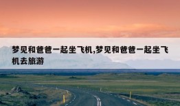 梦见和爸爸一起坐飞机,梦见和爸爸一起坐飞机去旅游