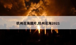 杭州花海图片,杭州花海2021