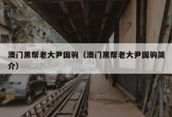 澳门黑帮老大尹国驹（澳门黑帮老大尹国驹简介）