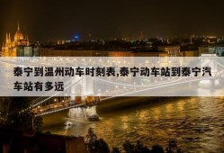 泰宁到温州动车时刻表,泰宁动车站到泰宁汽车站有多远