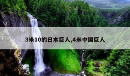 3米10的日本巨人,4米中国巨人