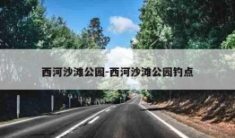 西河沙滩公园-西河沙滩公园钓点