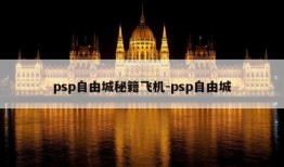 psp自由城秘籍飞机-psp自由城