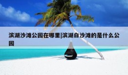 滨湖沙滩公园在哪里|滨湖白沙滩的是什么公园