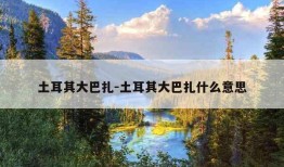 土耳其大巴扎-土耳其大巴扎什么意思