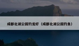 成都北湖公园钓龙虾（成都北湖公园钓鱼）