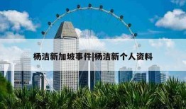 杨洁新加坡事件|杨洁新个人资料