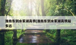 淮南东到水家湖高铁|淮南东到水家湖高铁站多远