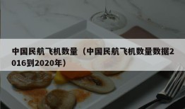 中国民航飞机数量（中国民航飞机数量数据2016到2020年）