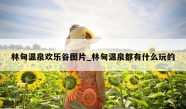 林甸温泉欢乐谷图片_林甸温泉都有什么玩的