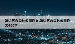 靖边五台森林公园作文,靖边五台森林公园作文400字