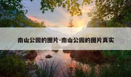 南山公园的图片-南山公园的图片真实