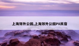 上海郊外公园,上海郊外公园P8民宿