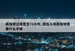 新加坡过境免签72小时_现在入境新加坡需要什么手续