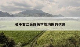 关于右江民族医学院地图的信息