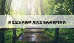 东莞至汕头高铁,东莞至汕头高铁时刻表