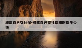 成都自己交社保-成都自己交社保和医保多少钱