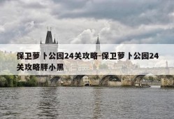 保卫萝卜公园24关攻略-保卫萝卜公园24关攻略胖小黑