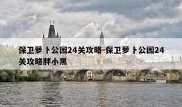 保卫萝卜公园24关攻略-保卫萝卜公园24关攻略胖小黑