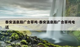 泰安温泉路广合草鸡-泰安温泉路广合草鸡电话