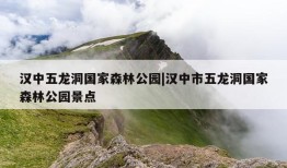 汉中五龙洞国家森林公园|汉中市五龙洞国家森林公园景点