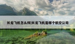 长龙飞机怎么样|长龙飞机是哪个航空公司