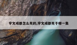 宇文成都怎么死的,宇文成都死于哪一集