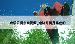 大学公园亲吻视频_电脑开机是黑色的