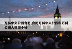 万科中央公园合肥,合肥万科中央公园和万科公园大道哪个好